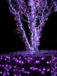 Outdoor Christmas Light Decorations Purple Christmas Lights Purple Christmas Decorating With Christmas Lights
