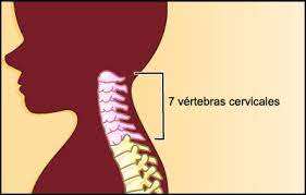 Resonancia magnética del cuello si el dolor se debe a un espasmo muscular o el pinzamiento de un nervio, es probable que su proveedor le recete un relajante muscular o un analgésico más potente. Radiografia Columna Cervical Connecticut Children S