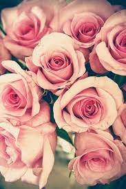 Here is my opinion on those interesting fresh flower alternatives. 34 Magnificent Roses Ideas Rose Flowers Beautiful Flowers