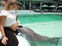 Maybe you would like to learn more about one of these? When Male Dolphin Fell In Love With Female Researcher Deccan Herald