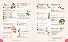 Armed with the right knowledge, you too can send secret messages through beautiful bouquets. The Complete Language Of Flowers A Definitive And Illustrated History Complete Illustrated Encyclopedia 3 Dietz S Theresa 9781577151906 Amazon Com Books