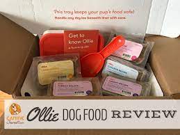 Our First Hand Experience Review Of Olliepets Dog Food Delivery Https Www Caninejournal Com Ollie Dog Dog Food Delivery Dog Food Recipes Dog Food Reviews
