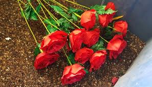 It is a granular compound that offers i bought a bunch of this stuff to preserve wedding flowers for my shadow box and a bunch of small ornaments. Vietnamese Woman Creates Immortal Flowers That Fresh 10 Years Vietnam Times