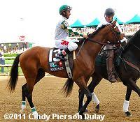 2011 Kentucky Derby Results