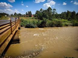 Kenya: Biodiversity Gains, Loses of River Yala – Science Africa