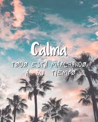 Pin De Elenytta Arroyo En Frases Video Frases Motivadoras Frases Bonitas Frases Positivas