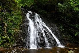 Kaffeepfad Hochschwarzwald Tourismus Gmbh Hochschwarzwald Wandern Schwarzwald Schwarzwald