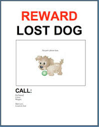 Download all types of missing poster templates when customizing a missing poster template, you should include the following information on it: Adopt A Pet Com Blog Free Template Lost Or Found Pet Flyer Adopt A Pet Com Blog
