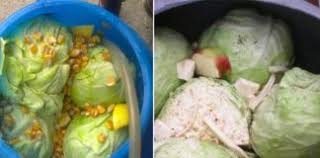 Varza murata pentru iarna se pune intre sf. Cea Mai Mare GreÈ™eala Pe Care O Facem Cand Punem Varza La Murat IatÄƒ ReÈ›eta CorectÄƒ