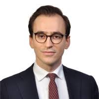 20+ "Felix Anton" profiles