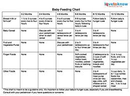 How Much Food Should You Feed Your Baby Lovetoknow