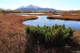 Beach Autumn Lake Forest Tundra Swamp Beach Autumn Lake Forest Tundra Swamp Nature Photos Autumn Nature Photo