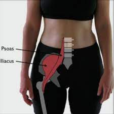 Accueil » soigner ses douleurs et blessures et réduire l'inflammation » douleur à la hanche et au bassin » douleur du psoas ou tendinite du dans cet article, vous pouvez retrouver tout ce qu'il faut savoir concernant la douleur du psoas, la tendinite du psoas, et surtout comment la soulager. Psoas Tendinite Du Psoas Avec Une Prothese De Hanche