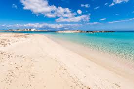 This week, the los angeles angels designated slugger albert pujols for assignment, and he will most assuredly clear waivers and become a free agent soon. Strand Es Pujols Auf Formentera Strande Auf Formentera