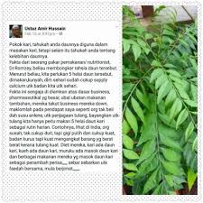 We did not find results for: Ulam Pucuk Kari Bukan Sahaja Sedap Malah Banyak Khasiat Tapi Sayangnya Ramai Tak Tahu Semua Semua Semuanya
