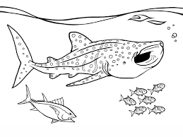 We did not find results for: Coloring Pages Coloring Pages Whale Sharks Printable For Kids Adults Free