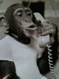 Banana Phone Cuddly Animals Chimp Cute Creatures
