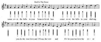 The Tin Whistle Song Book Irish Folk Songs