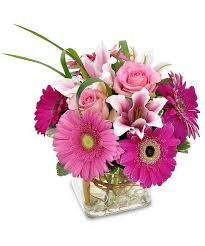Another favorite flower of mine that is truly nature's many gifts. The Best Flowers For Mother In Law Day Gordon Boswell