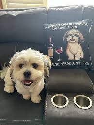 Cushion cover waiting for its cushion :D