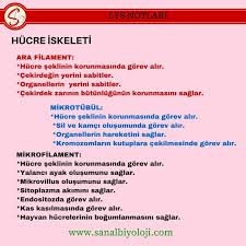 Biyoloji Biyoloji Biyoloji Dersi Ders Calisma Ipuclari