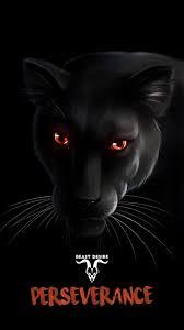 Beast Desire Wallpaper Wild Animals Photography Instagram Creative Pictures Beast Quotes