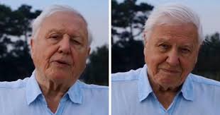 Sir david attenborough was born on 8 may, 1926, in isleworth, west london the same year as queen elizabeth ii! 94 Year Old Sir David Attenborough Officially Joins Instagram And His Follower Count Is Growing Insanely Fast Bored Panda