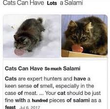 That's little a salami, not a little salami. Cats Can Have A Lot Of Salami