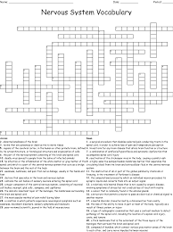 Type your answer into the box to the. Nervous System Vocabulary Crossword Wordmint