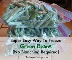 How To Freeze Green Beans Without Blanching An Oregon Cottage Recipe Frozen Green Beans Green Beans Freeze Greens