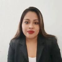 David Chavez Mejia Email & Phone Number