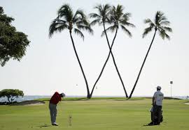 See more of daily fantasy sports rankings on facebook. Daily Fantasy Golf 2019 Pga Sony Open In Hawaii Top 30 Rankings