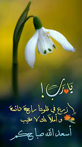 يا رب ازرع في قلوبنا راحة دائمة وأملا بك لا يخيب أسعد الله صباحكم Beautiful Morning Messages Good Morning Arabic Good Morning Images