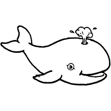 Currently, i recommend animal coloring pages whale for you, this article is similar with snow white and the seven dwarfs dopey coloring pages. Pin On Nautical Theme Vbs