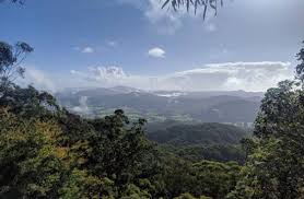 Discover user's favourite dishes and order online or book a table on rainforest cafe An Unforgettable Coast To Country Day Trip In The Coffs Harbour Hinterland Diggers Beach Cottage Coffs Harbour Accommodation
