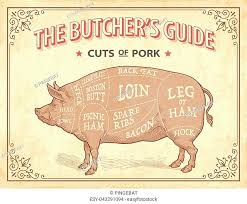 Butcher Cuts Scheme Of Pork Stock Photos And Images Age