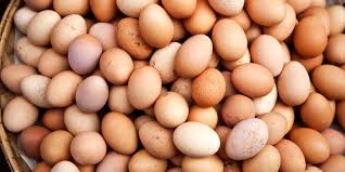 Menyatakan bahwa peternakan ayam petelur di ketahui (1). Distributor Telur Surabaya Usaha Telur Asin Bisnis Telur Ayam Negeri Supplier Telur Surabaya Daftar Kelebihan Ternak Ayam Pedaging Vs Ayam Petelur