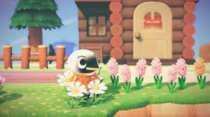His name may be derived from wading in water, a behavior of penguins when hunting for fish. I Just Feel Like Wade Never Gets The Attention He Deserves So Here He Is In A Groovy Shirt Sitting In A Flower Animalcrossing