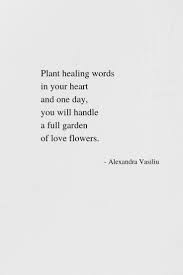 Black Book Of Poems If You Like This Poem About Healing Then You Will Need To Read Blooming A Beautifully Written Poetry Book By Inspirational Poems Healing Quotes Healing Words