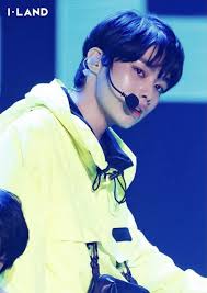 Dive into You (I-LAND) Members Profile (Updated!)