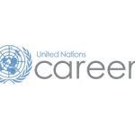 This includes the development of a financial and operational strategy, metrics tied to that strategy, and the ongoing development and monitoring of control systems designed to preserve. Finance Officer Ngo Jobs