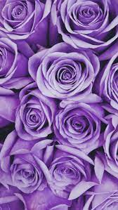 Floral Light Purple Aesthetic Wallpapers Top Free Floral Light Purple Aesthetic Backgrounds Wallpaperaccess You can also upload and share your favorite dark purple aesthetic 1920x1080 wallpapers. floral light purple aesthetic