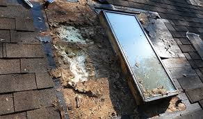 Check spelling or type a new query. The Building Consultant Repairing A Rotting Roof