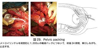 日本産婦人科医会