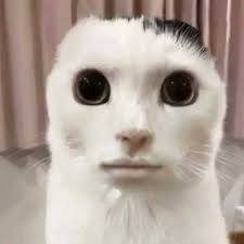 Minifútbol Valencia