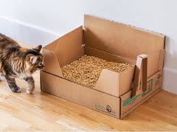 We did not find results for: Is It Ok To Put Baking Soda In A Cat S Litter Box