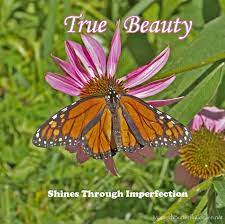 Monarch Butterfly Quotes Quotesgram God changes caterpillars into butterflies, sand into pearls and coal into. monarch butterfly quotes quotesgram