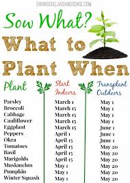 What To Plant When Chart Gardening Herb Garden
