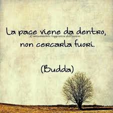 Qui di seguito una raccolta delle frasi di buddha sulla vita per iniziare a conoscere e riflettere sul suo pensiero l'amore nel passato è solo memoria. Bella Frase Di Buddha Buongiornoate It