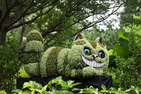 Check spelling or type a new query. Alice Cheshire Cat Alice In Wonderland Garden Atlanta Botanical Garden Magical Garden